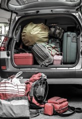 shutterstock_148039214