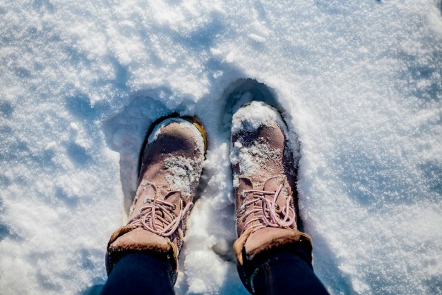 shutterstock_242777377