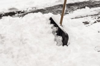 shutterstock_363000335