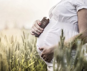 shutterstock_200856557