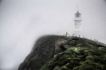 shutterstock_309361388