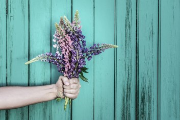 shutterstock_439136608