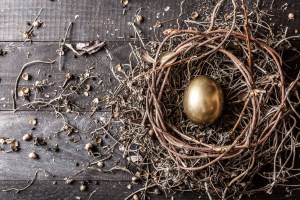 Nest with Gold Egg