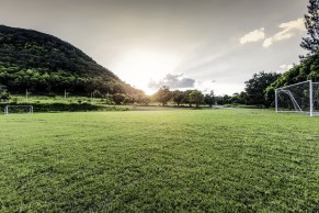 shutterstock_378684688