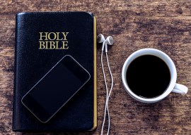 shutterstock_318701762