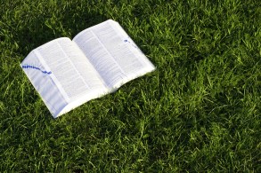 shutterstock_6340591