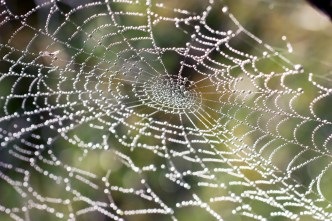 shutterstock_143723503