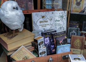 shutterstock_469096517