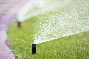 shutterstock_153037793