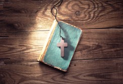 shutterstock_242517091