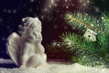 shutterstock_346110254