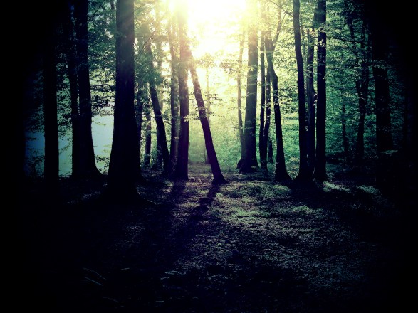 shutterstock_111085376