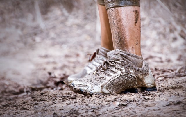 shutterstock_120147538