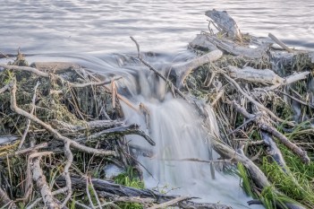 shutterstock_283678691