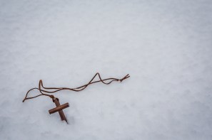 shutterstock_527921620