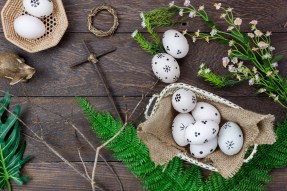 shutterstock_561552367